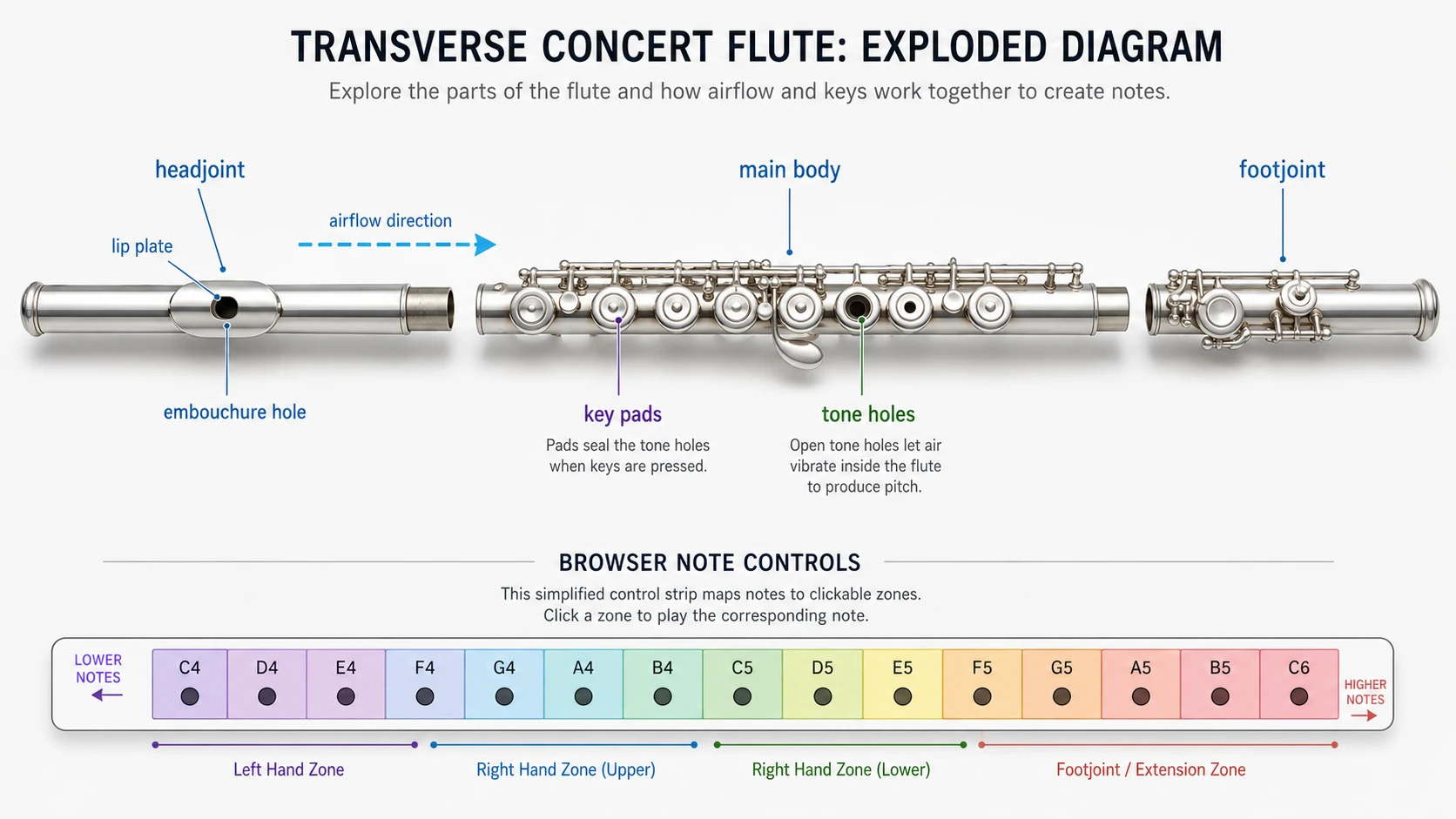 Transverse concert flute diagram showing the headjoint, lip plate, embouchure hole, body keys, tone holes, footjoint, airflow, and browser note controls.